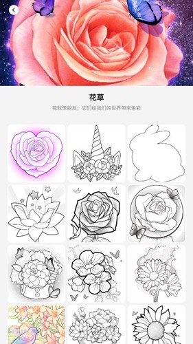 不想上班 3只卡皮巴拉“越狱”了
